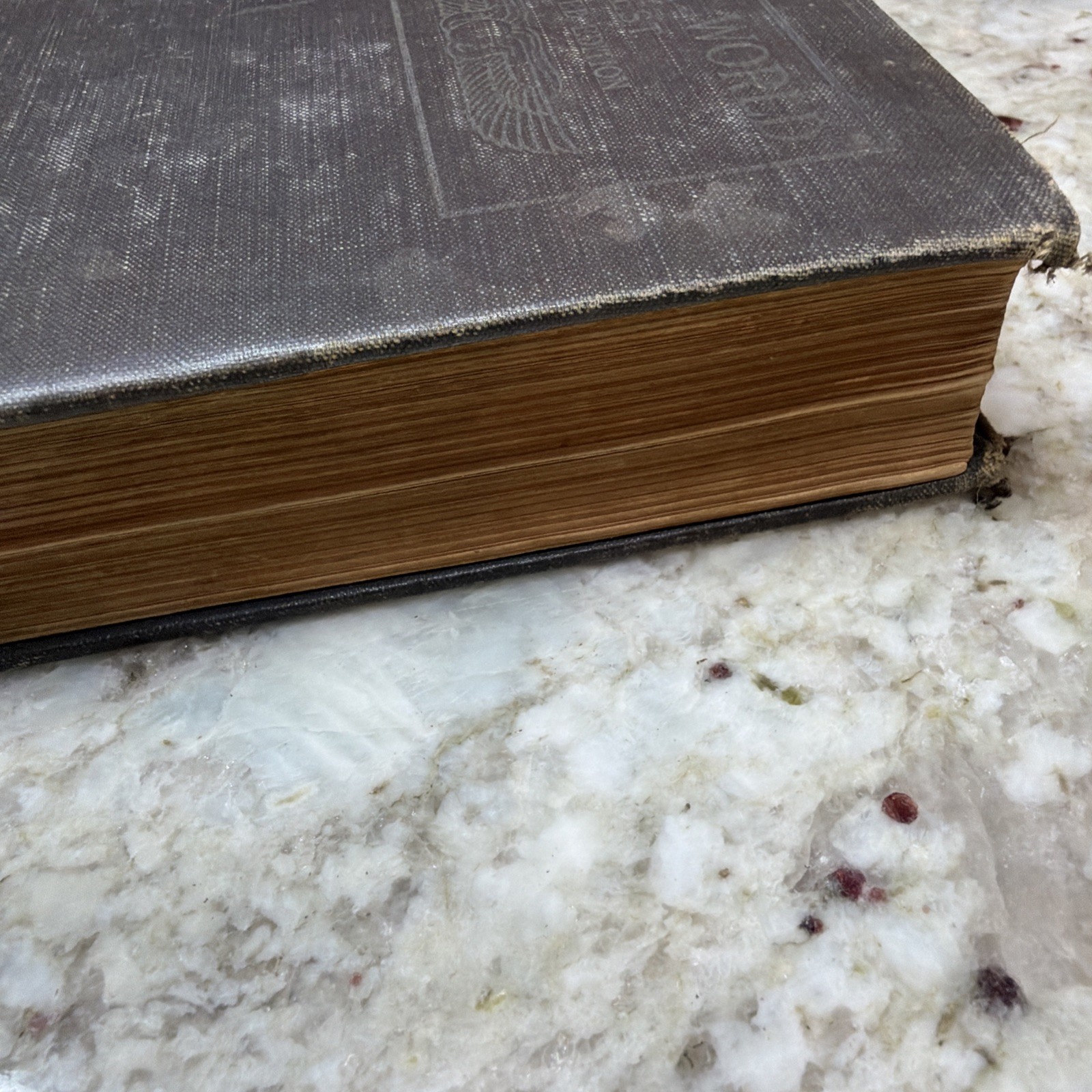 The Ancient World From The Earliest Times to 800 AD by Willis Mason West