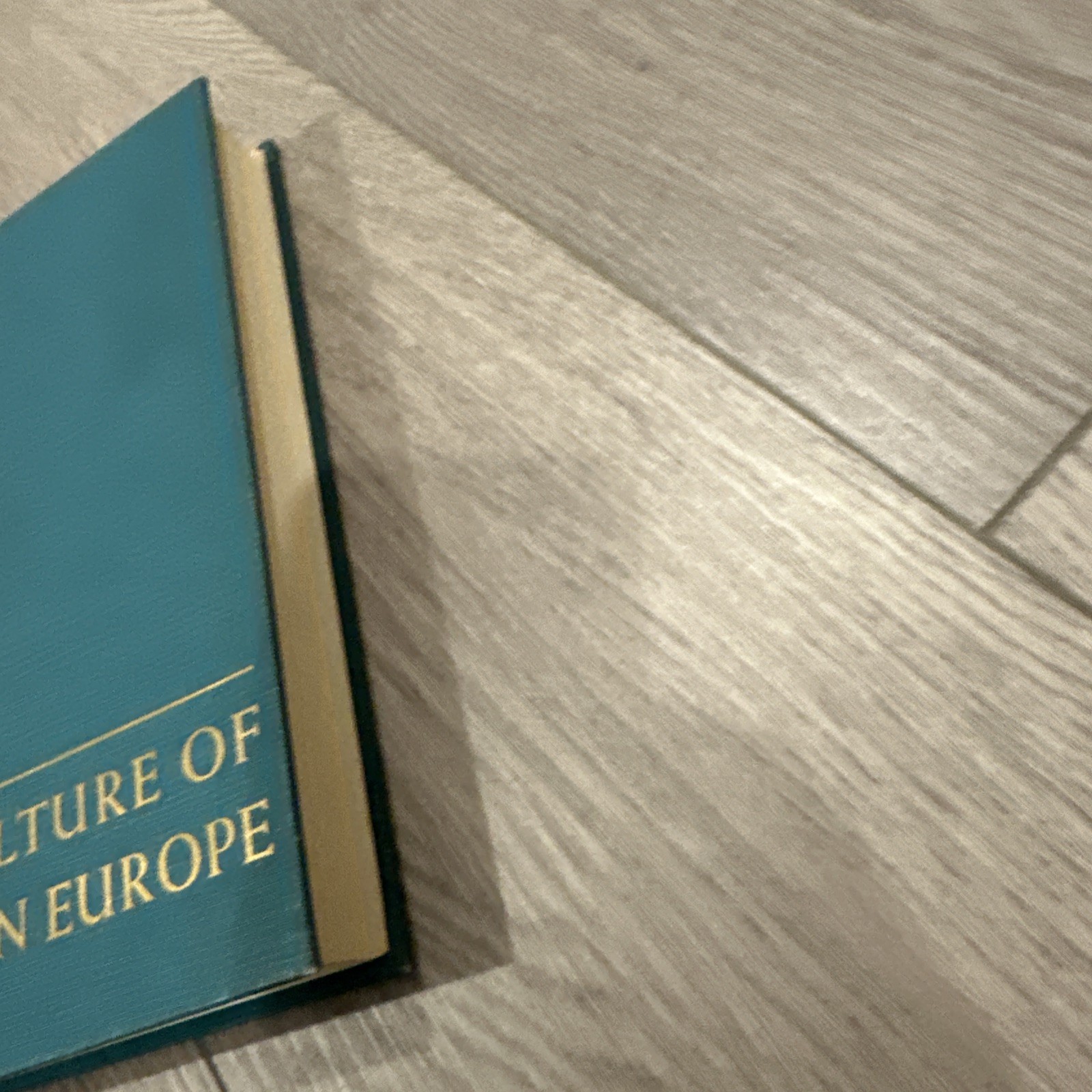 Rand McNallyThe Culture of Western Europe HC GOOD
