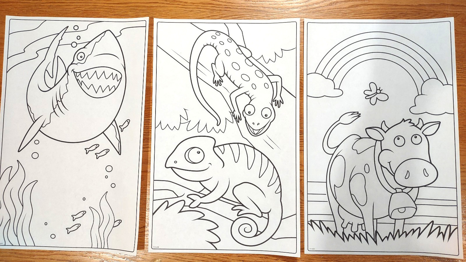 Crayola Giant 20 Coloring Pages Book Animals 10.5 in W X 17 in Long – 18 Pages