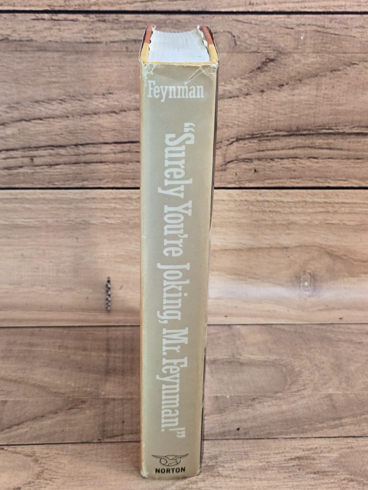 Vtg „SURELY YOU’RE JOKING, MR. FEYNMAN!“ Richard Feynman 1985 HC/DJ Norton & Co.
