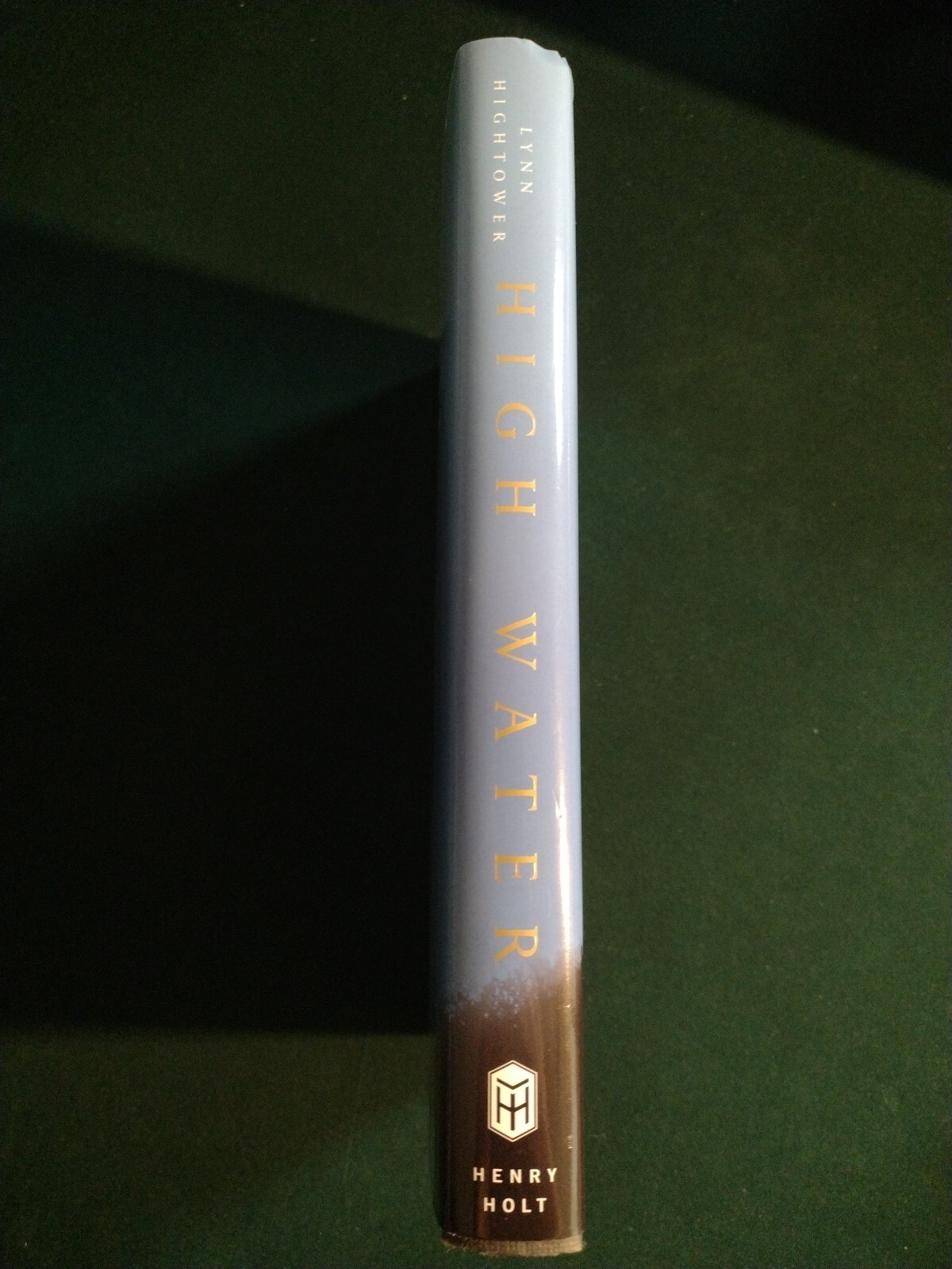 High Water by Lynn Hightower (2002 hardcover) 1st Ed Henry Holt and Co