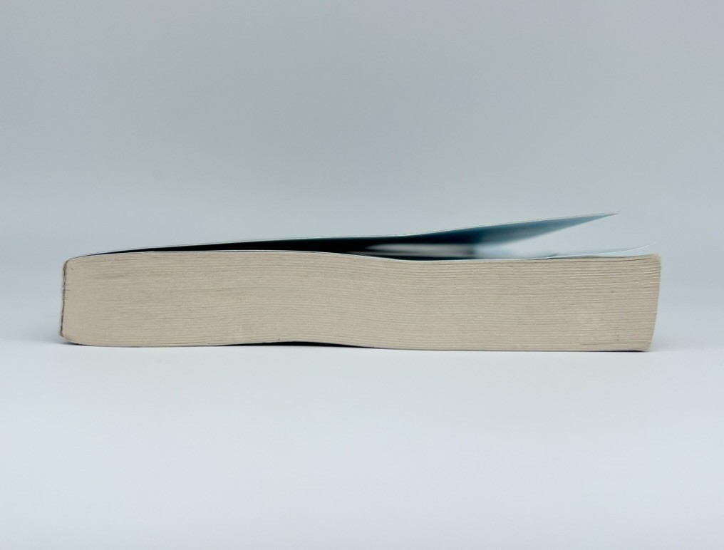 Sometimes I Lie: A Novel – Paperback By Feeney, Alice – GOOD