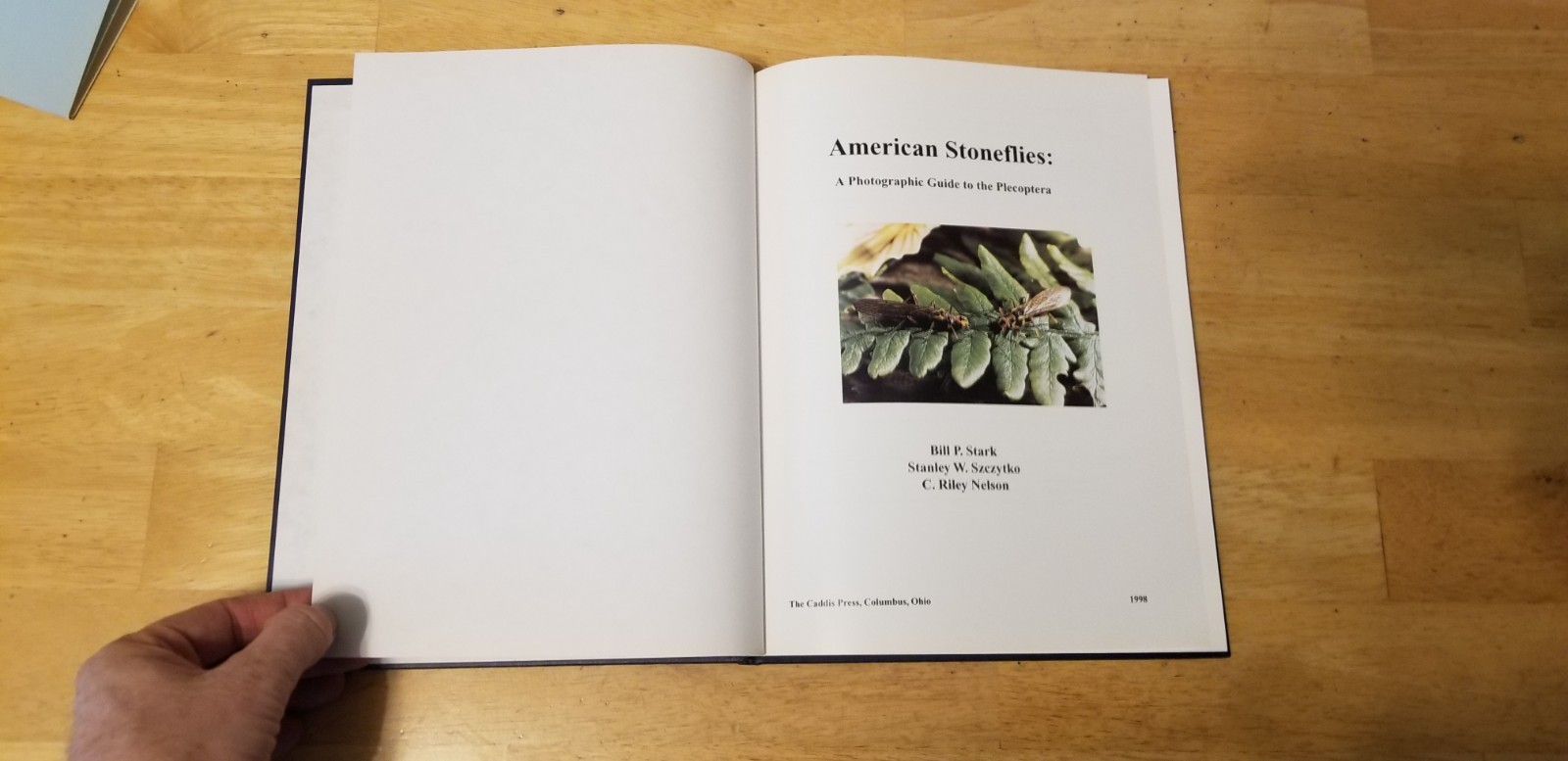 American stoneflies: A photographic guide to the Plecoptera by Bill P. Stark