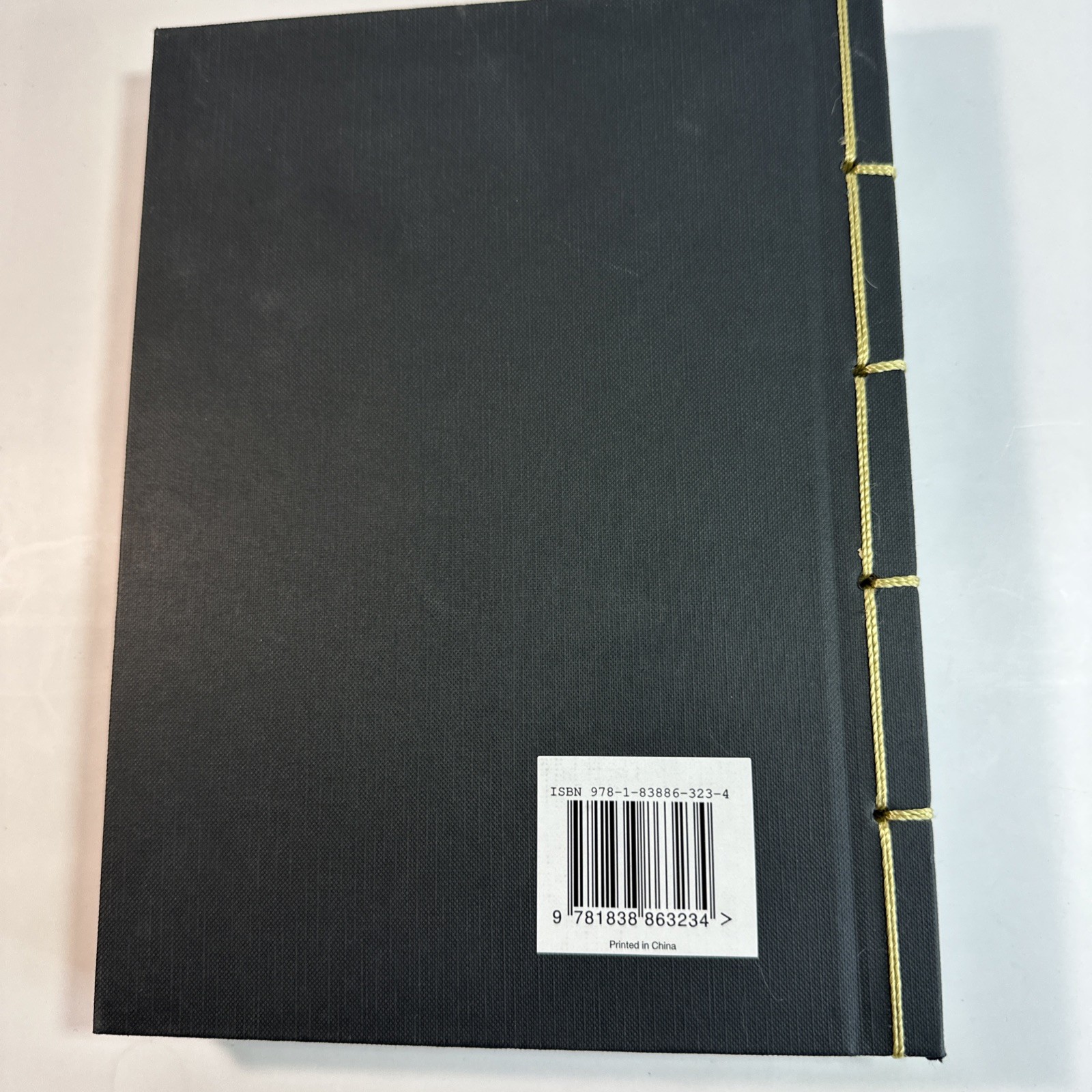 Ancient Egyptian Hieroglyphs Illustrated by Trevor Naylor 2025 Pr. Amber