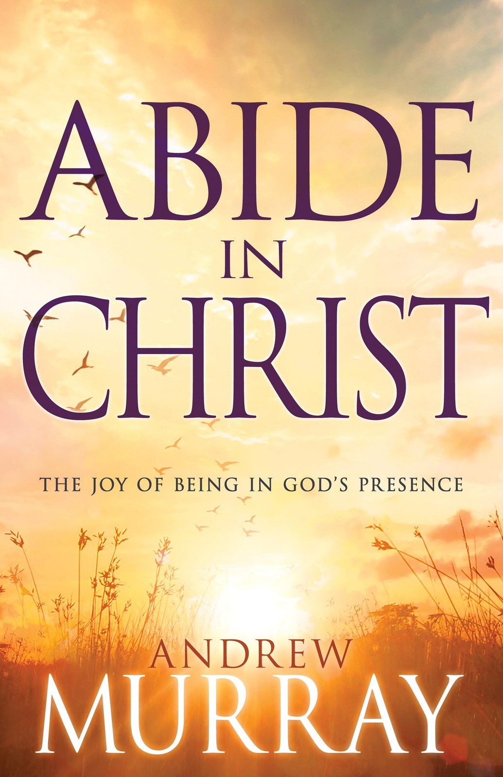 Abide in Christ: The Joy of Being in God’s Presence – paperback Murray, Andr…