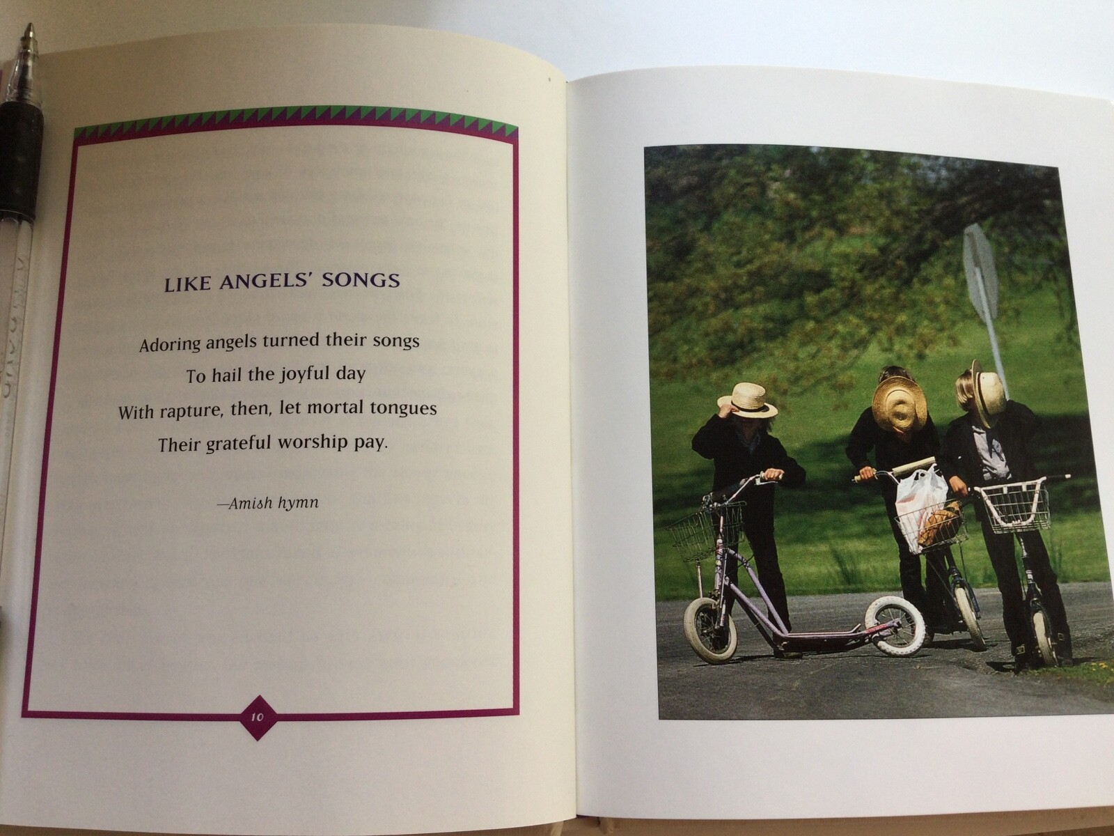 „Wisdom of the Plain Folk“ Book by Donna and Robert Leahy-88 pages – Illustrated