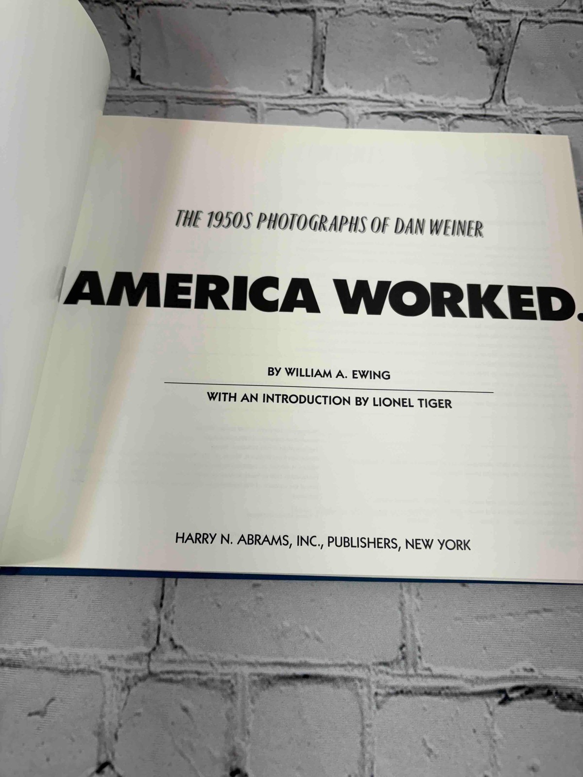 America Worked: The 1950s Photographs of Dan Weiner by William A. Ewing, Illus.