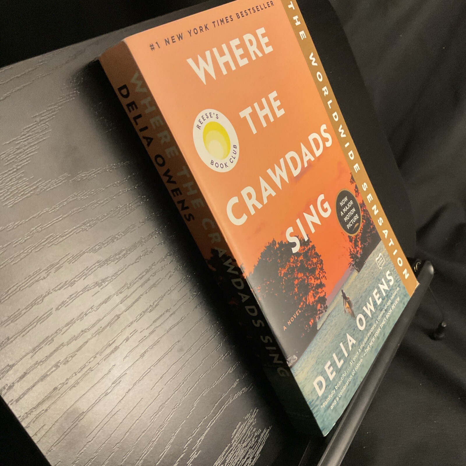 Where the Crawdads Sing – Paperback By Owens, Delia – VERY GOOD