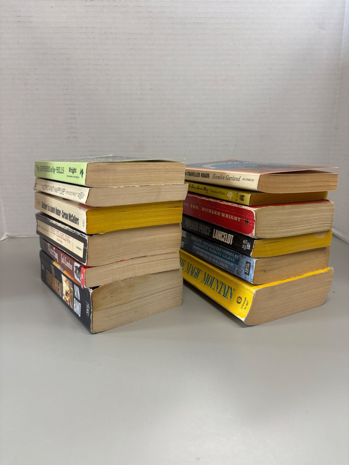 Classic Paperbacks Lot of 12 (See photos for titles)