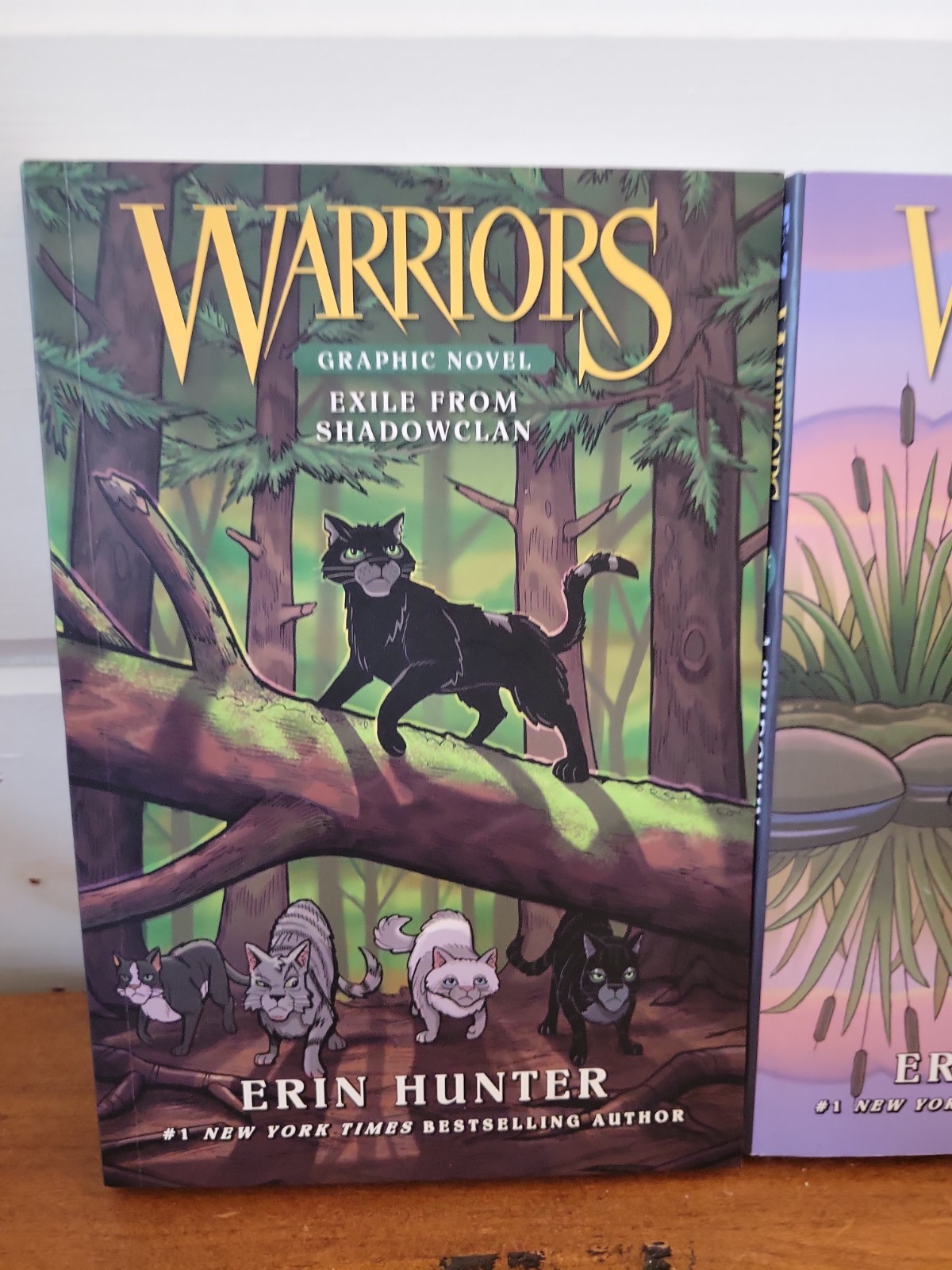 Lot of 4 WARRIORS BY ERIN HUNTER Graphic Novels