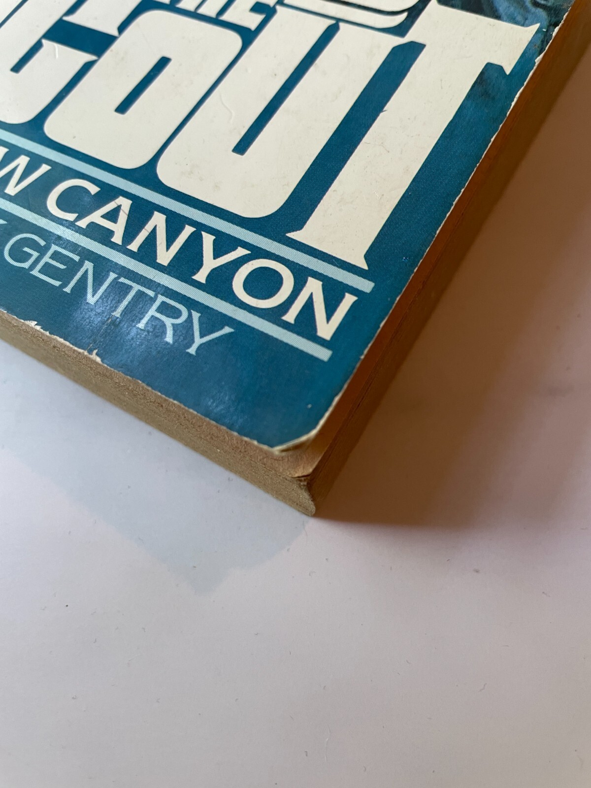 The Scout #3 – Outlaw Canyon – Action Adventure Western Novel – Buck Gentry 1981