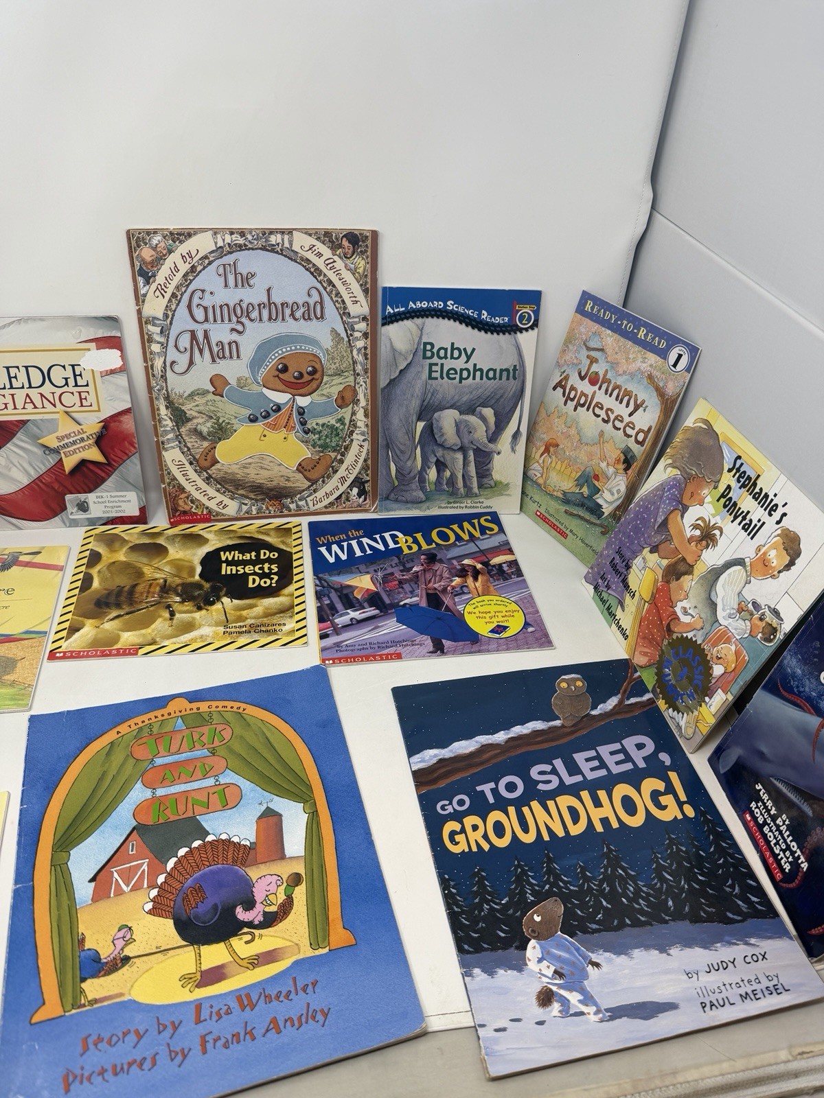 Children’s Scholastic Picture Books Kids Paperback Storybook Storytime Lot of 12