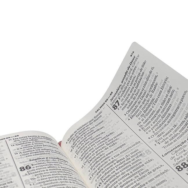 Biblia Sagrada: ARA – Capa: Flexivel em Couro – Letra: Gigante (Portugues)