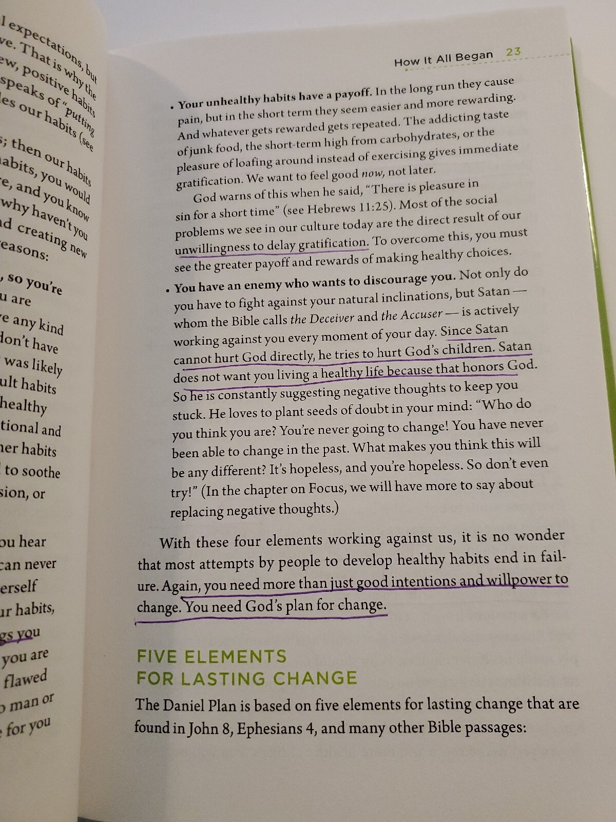 The Daniel Plan Ser.: The Daniel Plan : 40 Days to a Healthier Life