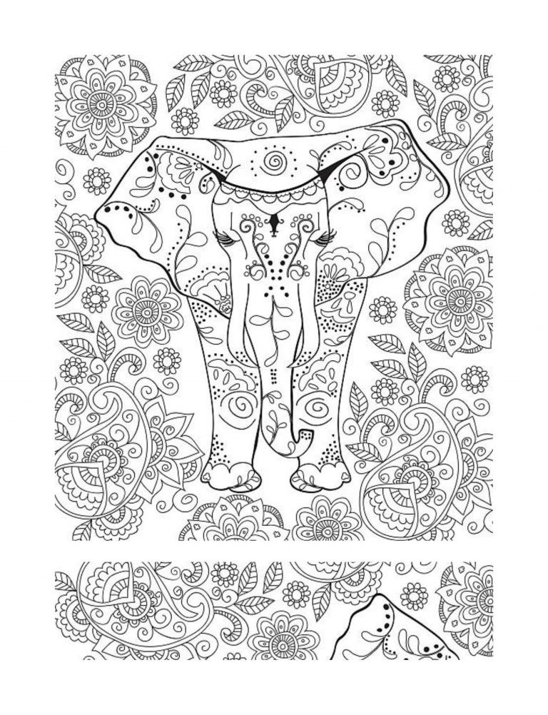 Best Elephants Coloring Book save the Lions 108 Pages 8.5 x 11 for All Ages