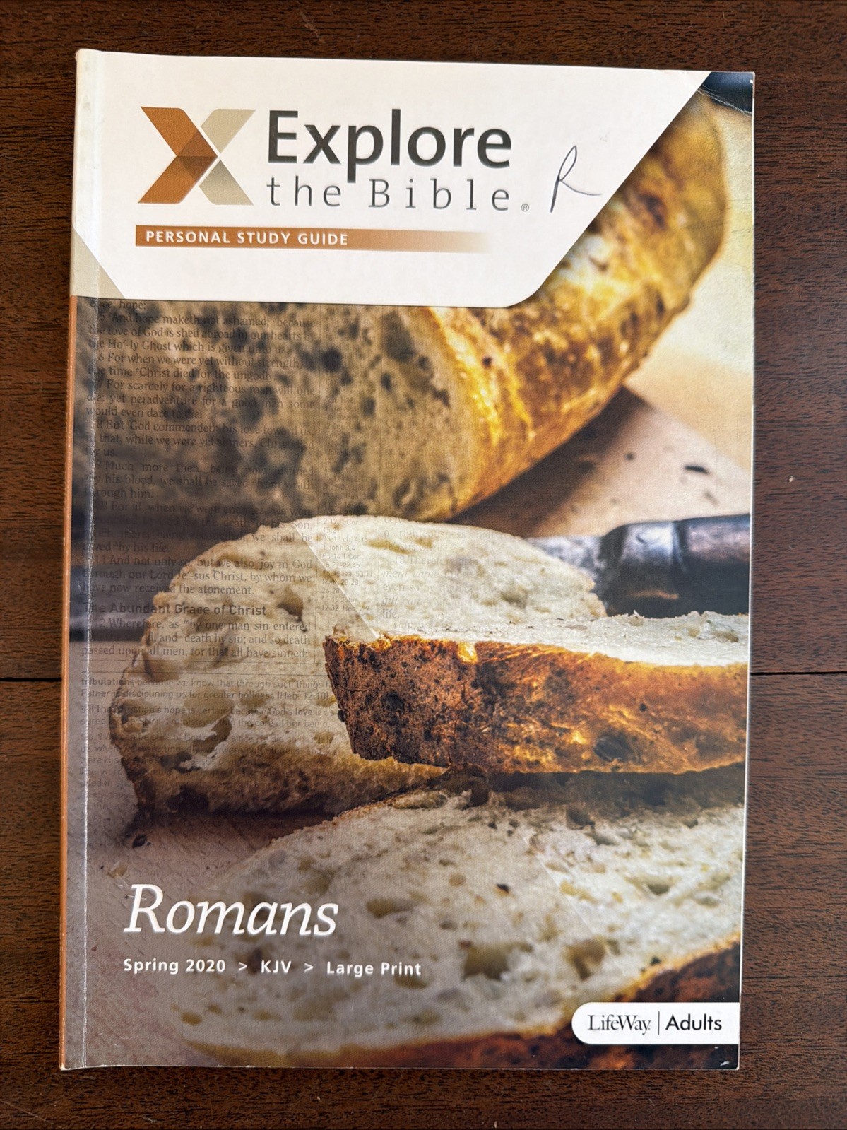 Lot of 16 Bible Study Guides – Explore the Bible Personal Study Guides – Lifeway