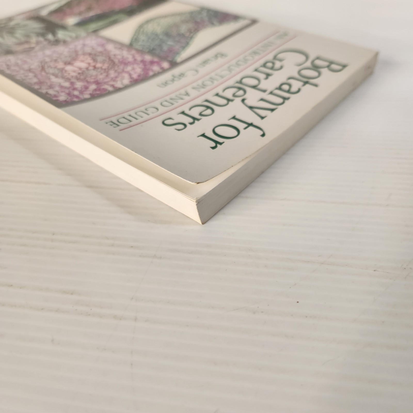 Botany for Gardeners by Brian Capon Paperback