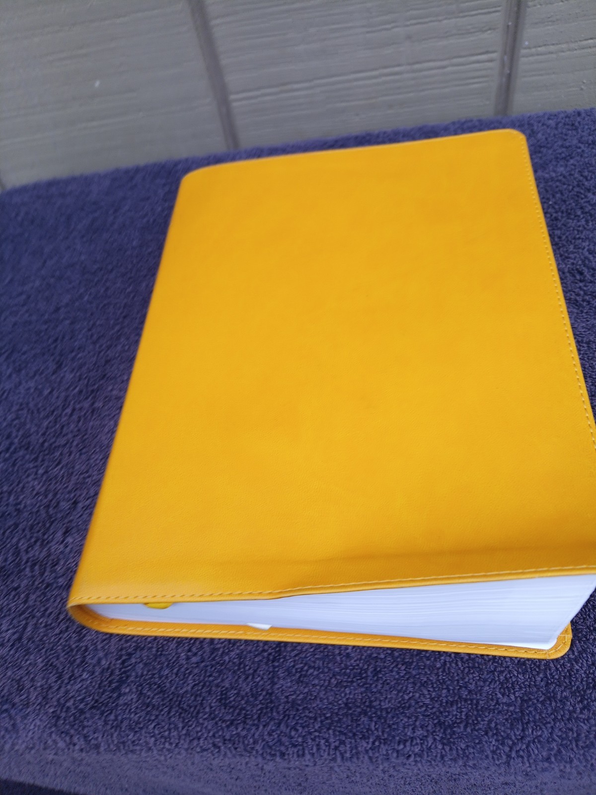 CBS Christian Standard Lifeway Women’s Bible Marigold LeatherTouch READ DESCRIPT