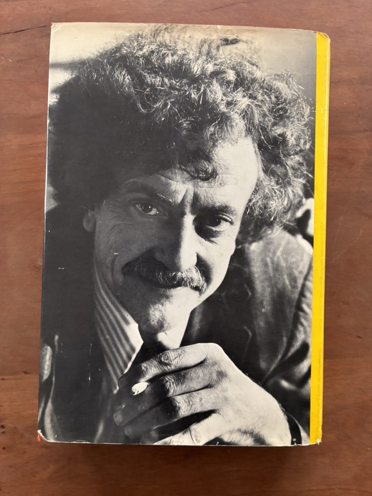 1973 Breakfast of Champions Kurt Vonnegut 1st Edition 1st Printing + Dust Jacket