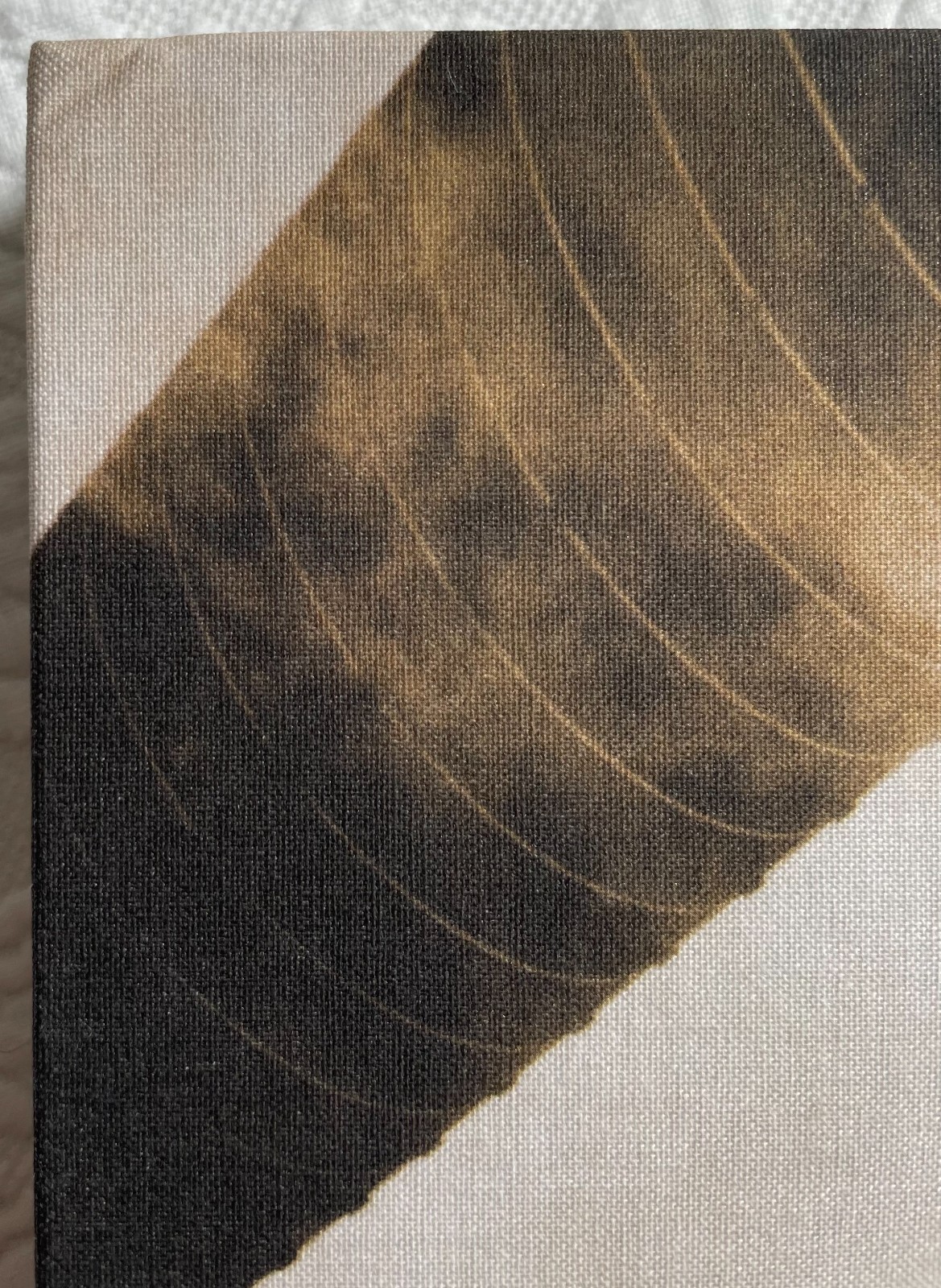 David Lynch: The Factory Photographs – Petra Giloy-Hirtz – Brand New Book