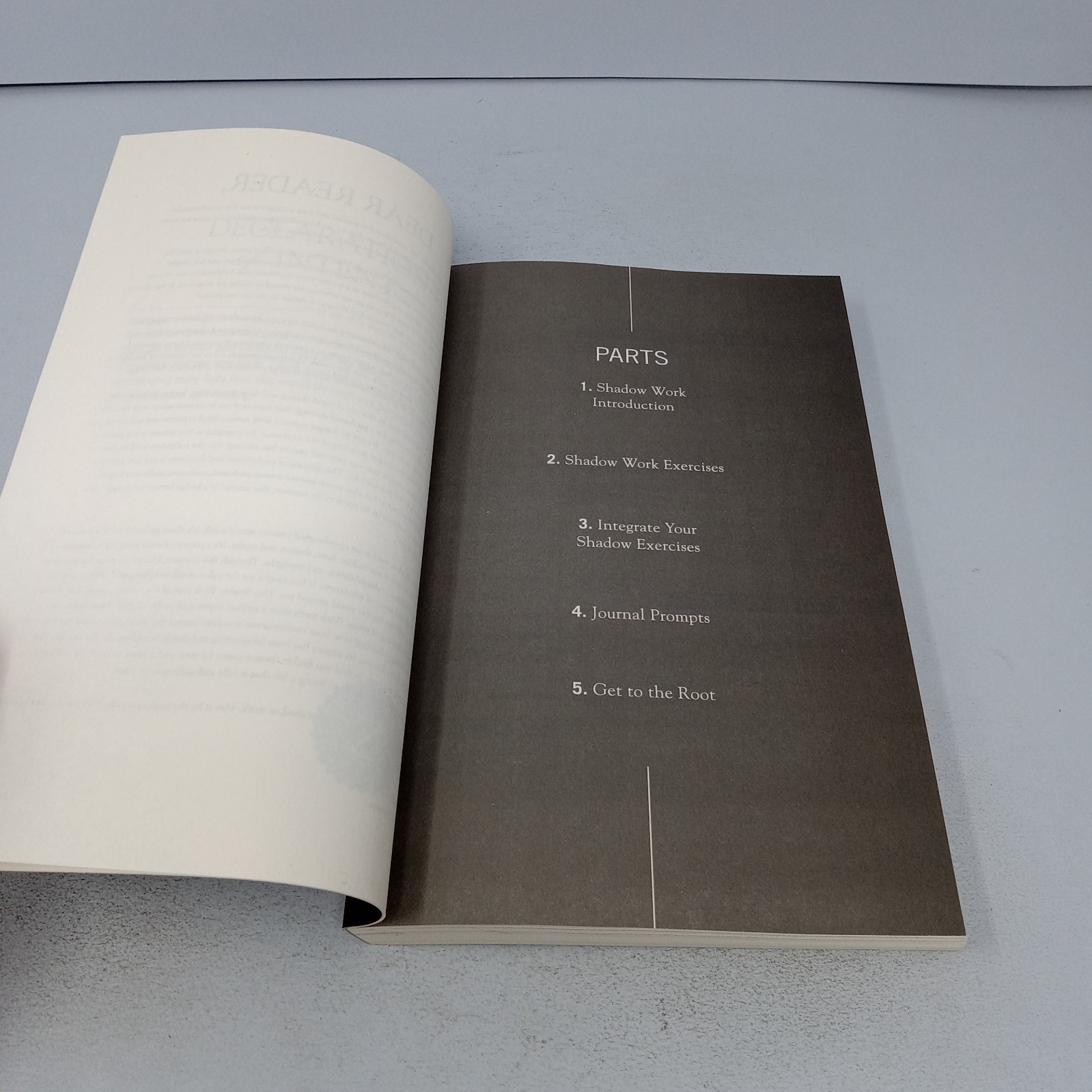 The Shadow Work Journal: 2024 Primero Sueño Press Paperback by Keila Shaheen