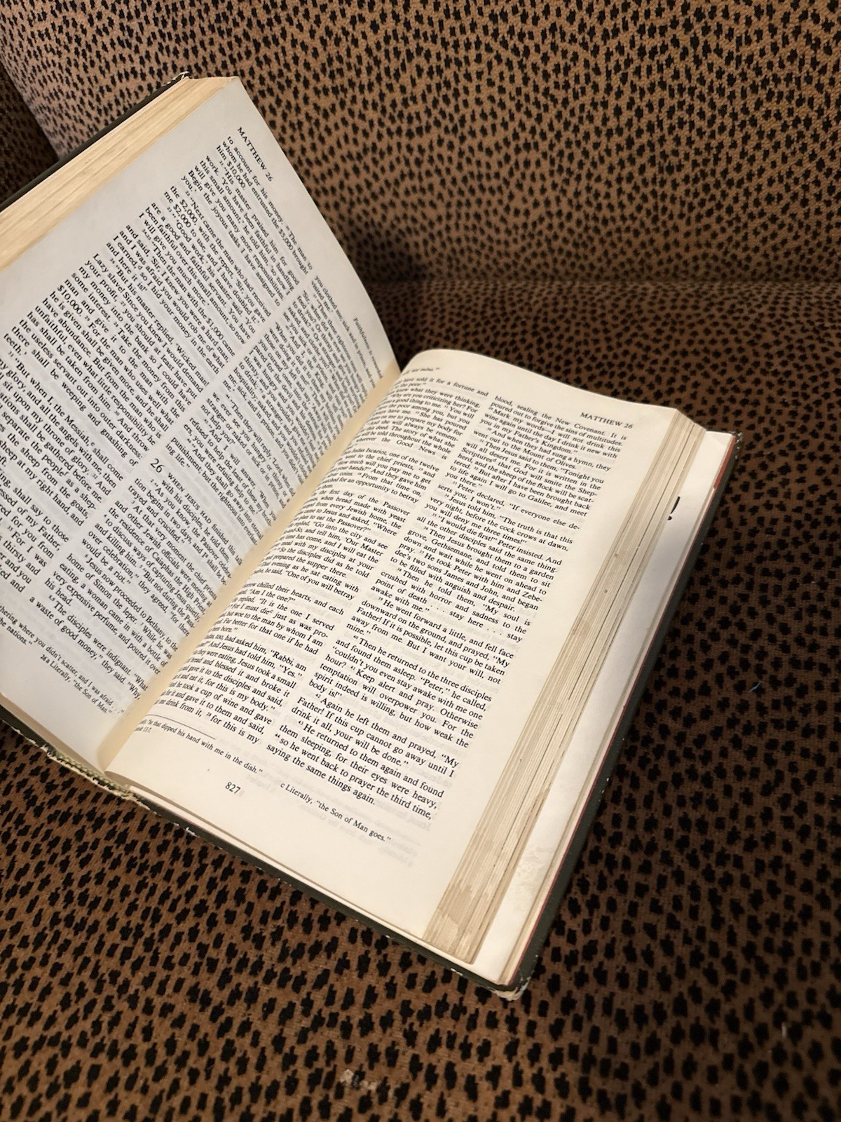 1973 The Way Living Bible