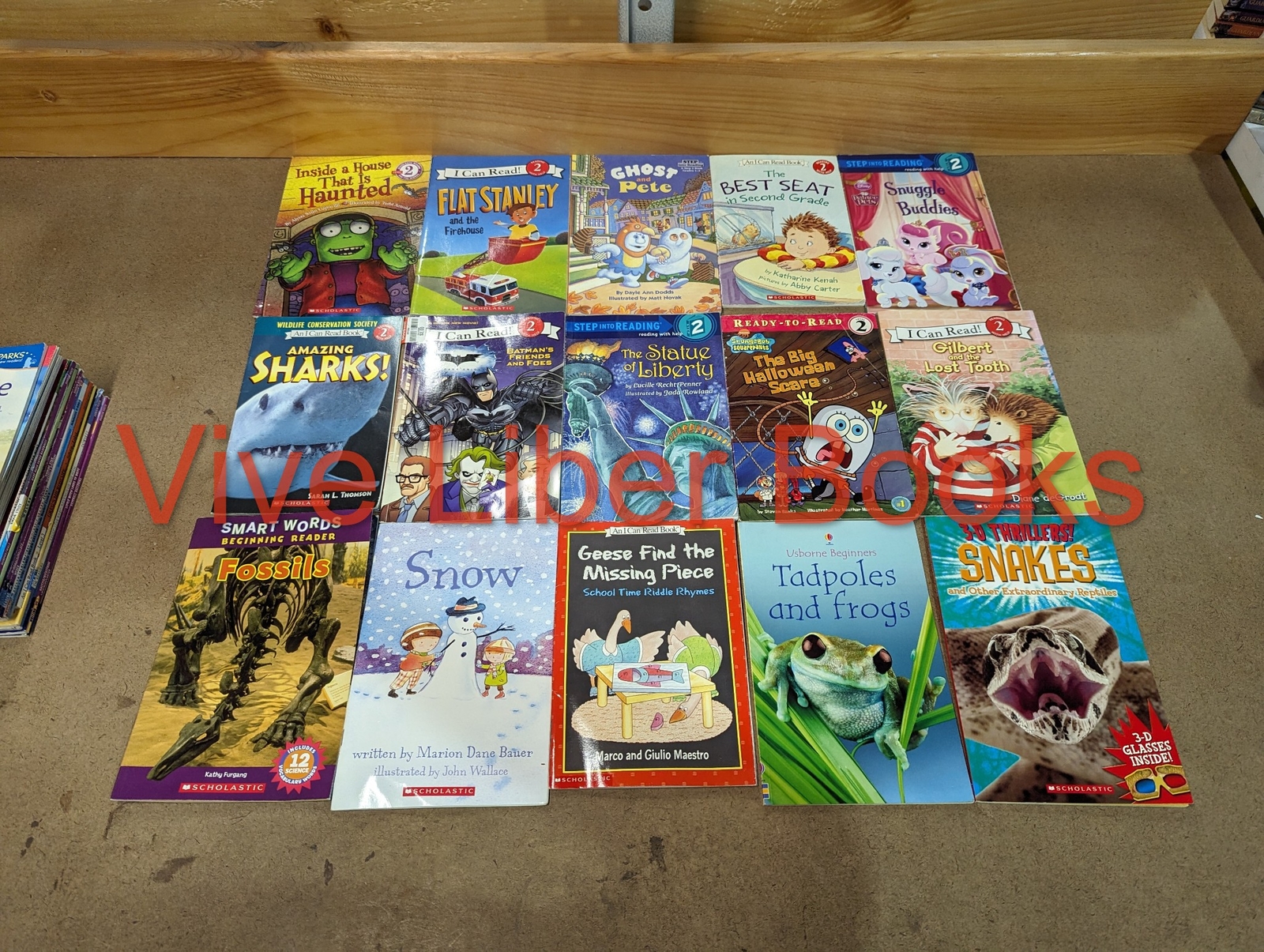 Huge Lot of 100 Step Into Reading Level 1 2 3 Books – My First – I Can Read MIX