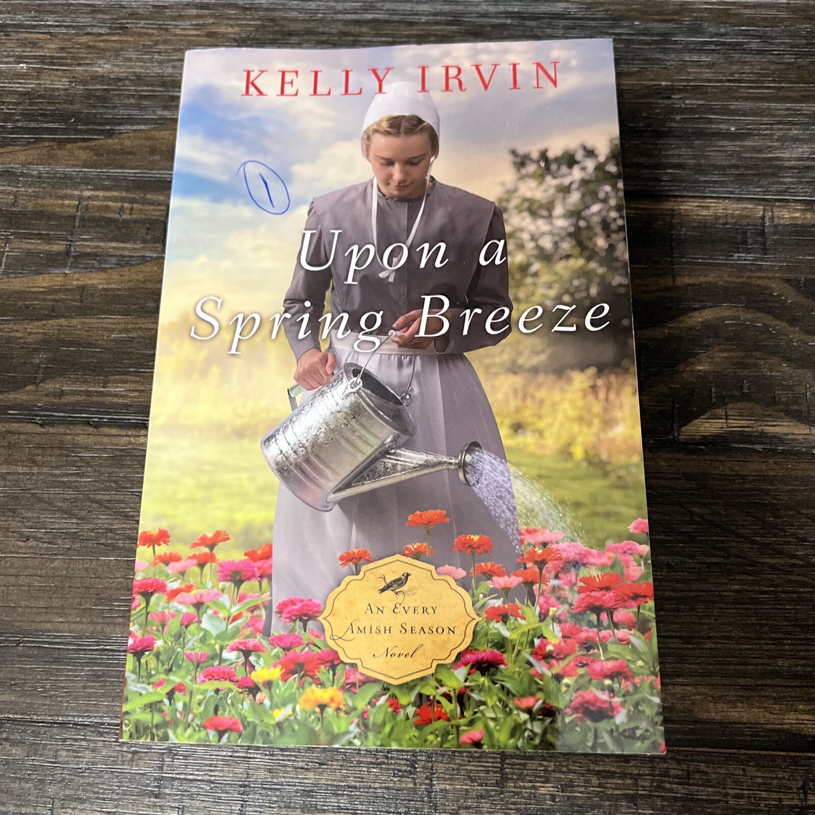 4 Amish Books Author Kelly Irvin Paperbacks Multiple Titles