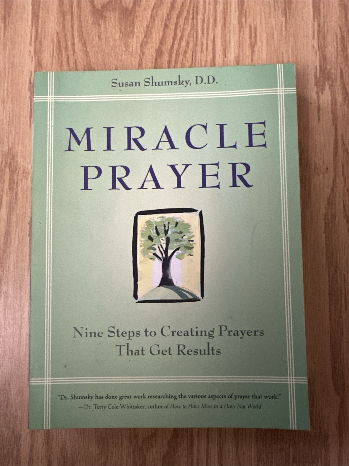 Miracle Prayer : Nine Steps to Creating Prayers That Get Results by Susan Shumsk