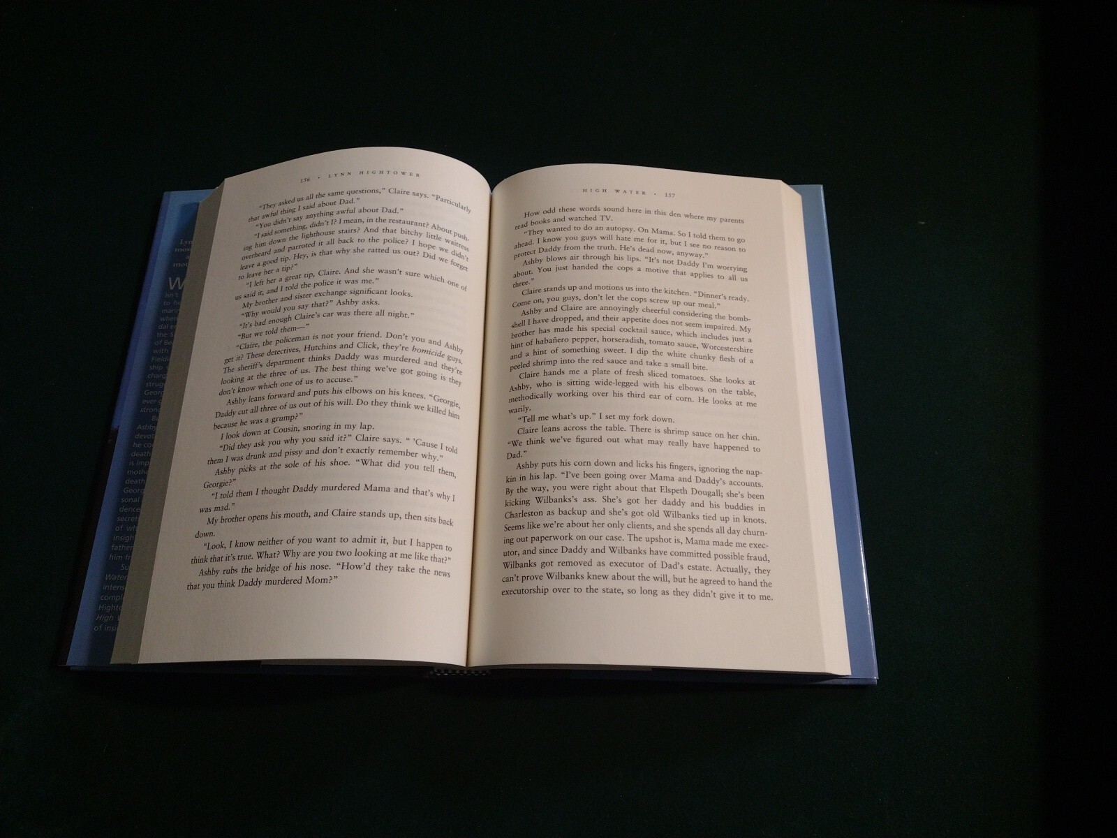High Water by Lynn Hightower (2002 hardcover) 1st Ed Henry Holt and Co