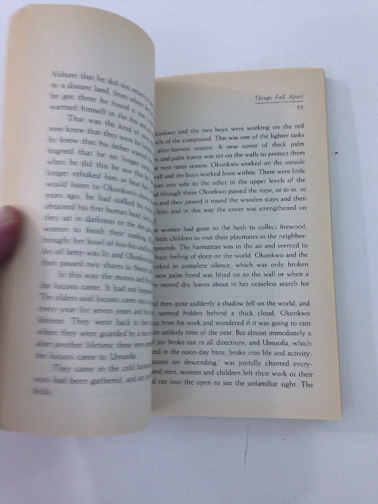 Things Fall Apart – Chinua Achebe (1994, Paperback)