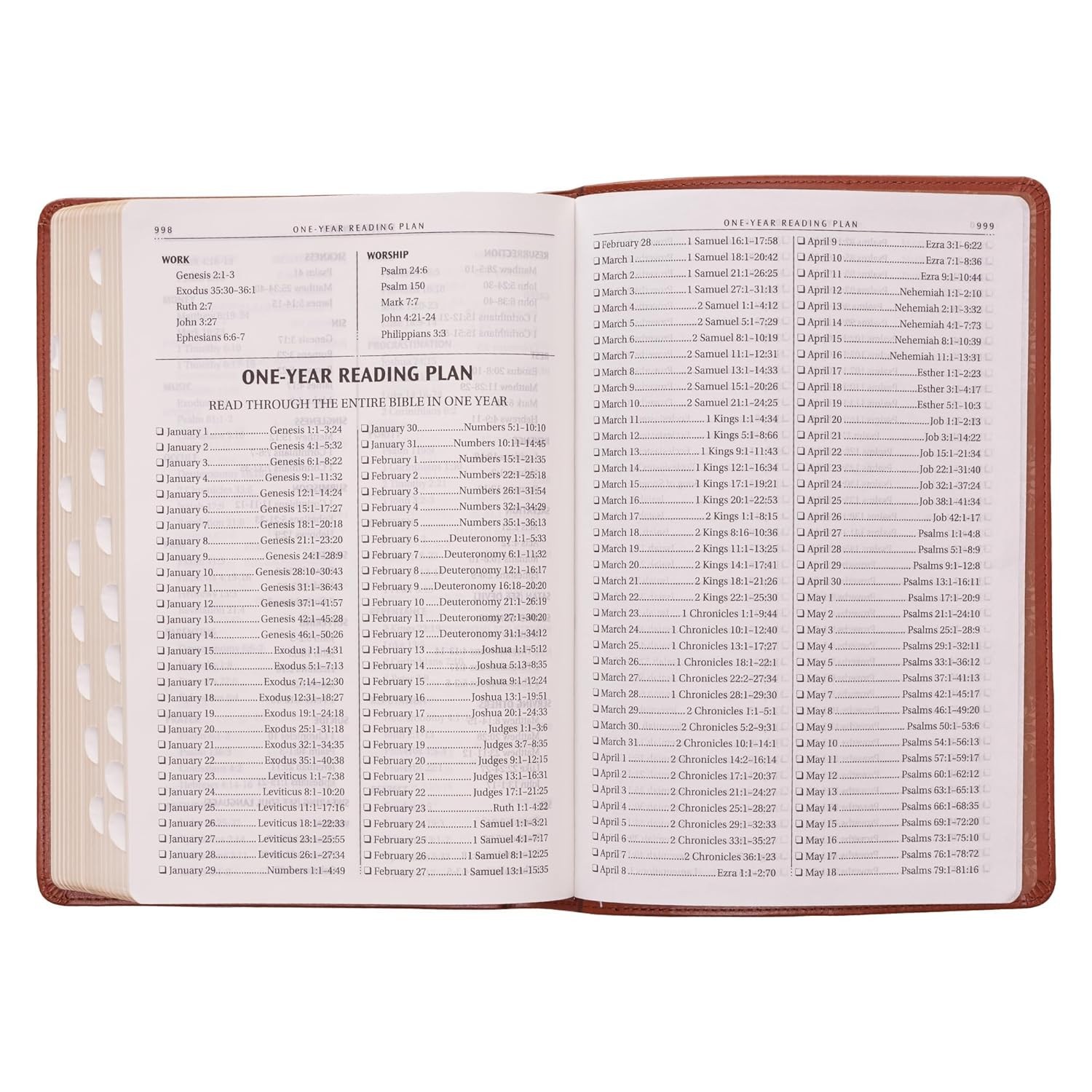 The Holy Bible King James Version LARGE PRINT Thumb Indexed Edition / TAN Faux L