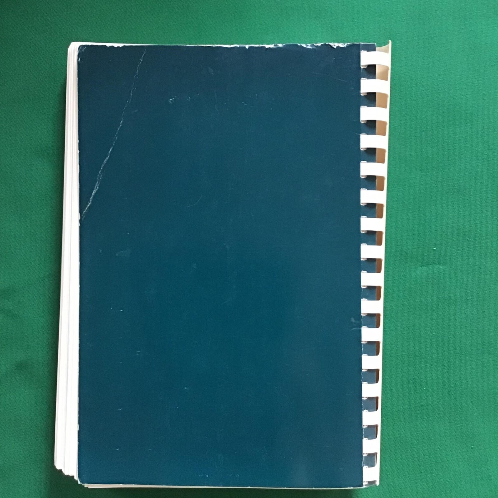 St Charles, MO Philanthropic Educational Organization 1998 Cookbook SEE INDEX