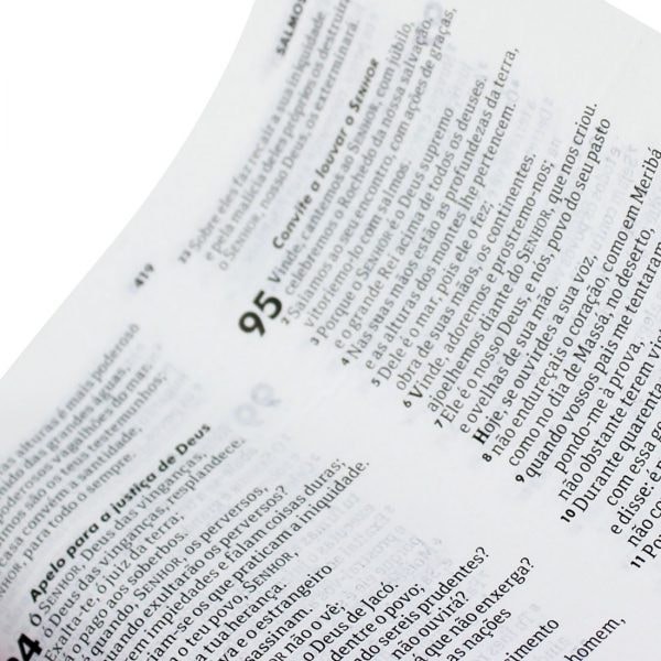 Biblia Sagrada: NAA – Capa: Flexivel em Couro (Em Portugues do Brasil)