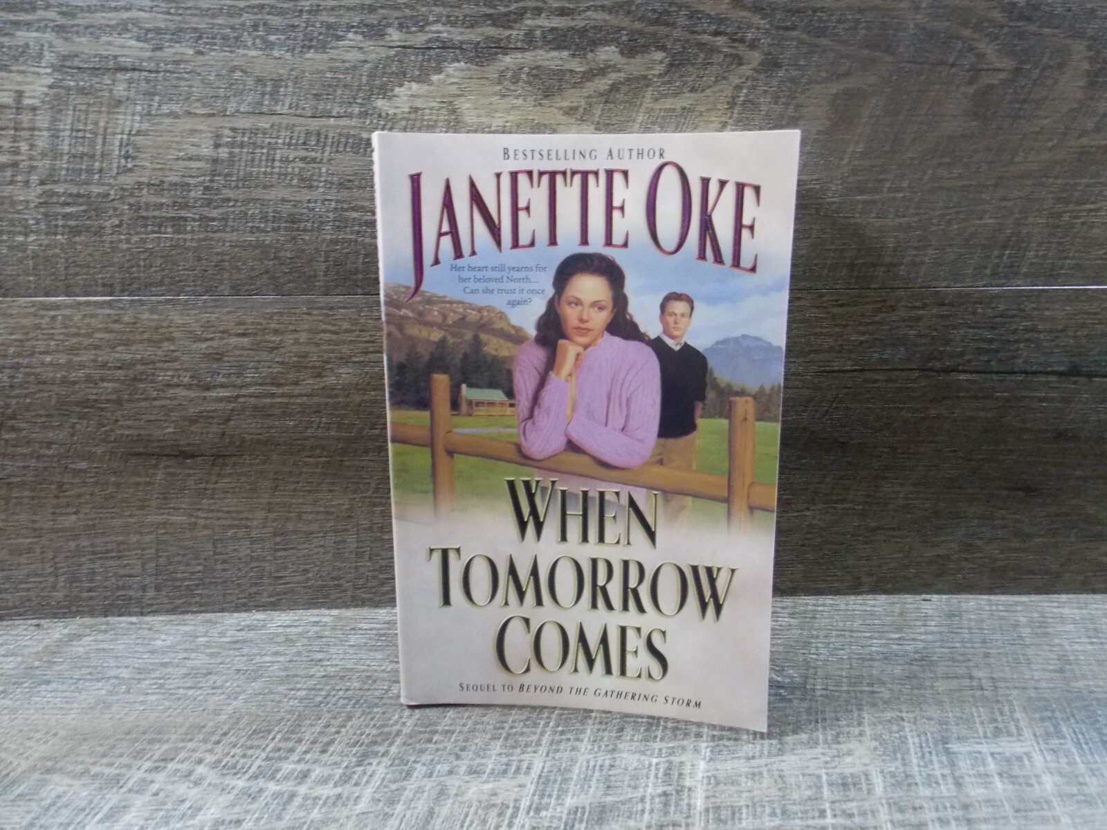Janette Oke Mixed Lot of 3 PB Books: When Tomorrow Comes, Return to Harmony +1