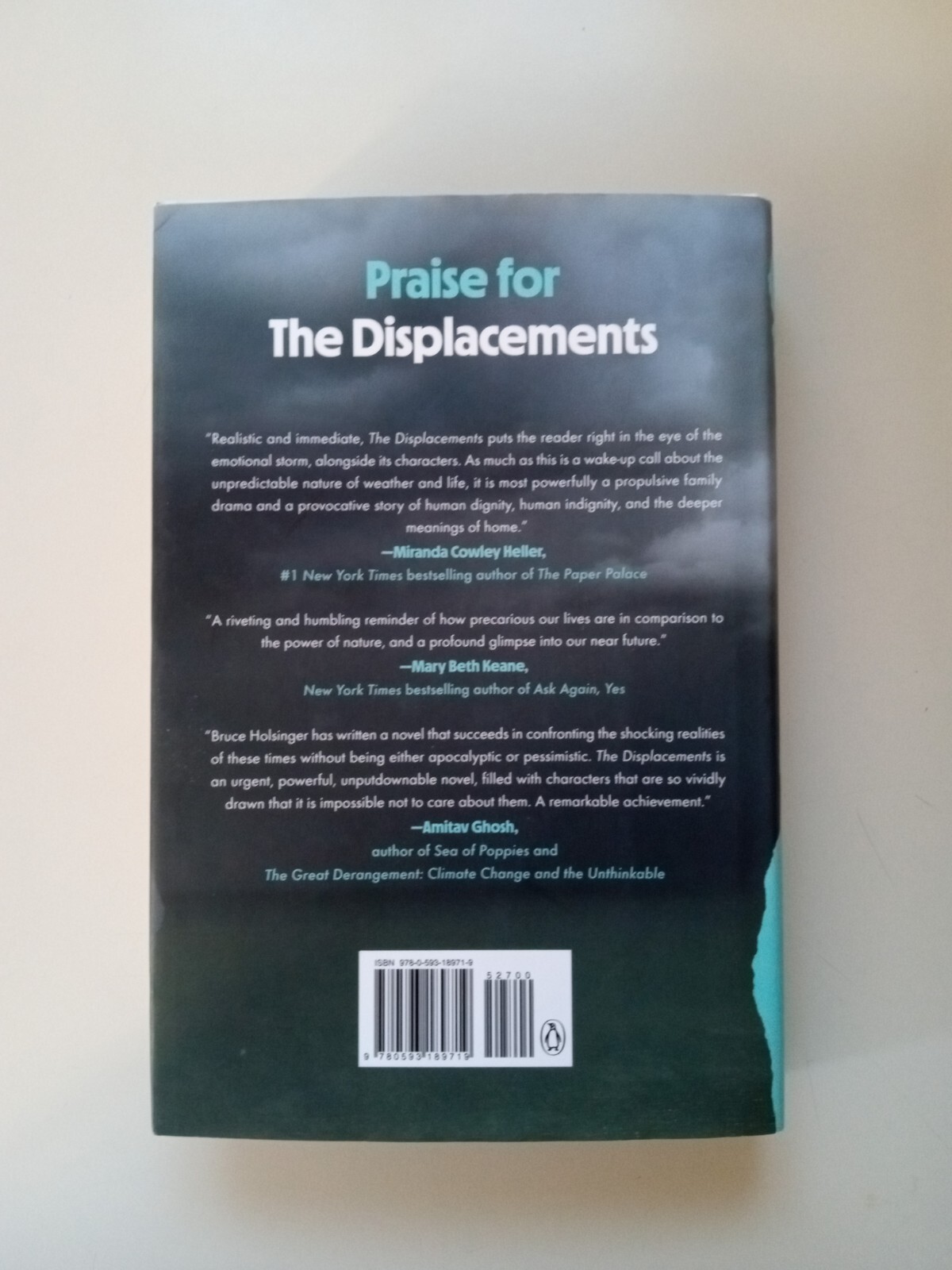 The Displacements : A Novel by Bruce Holsinger (2022, Hardcover)