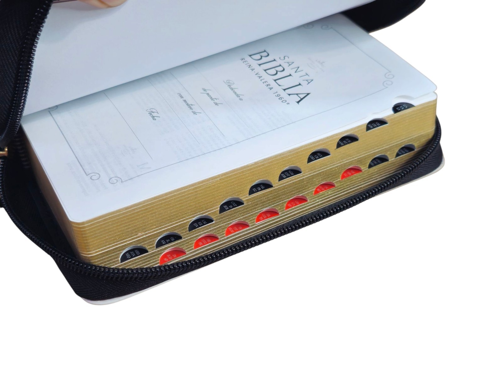 Biblia Chequera Letra 8.5 puntos RV1960 imit piel tricolor con indice