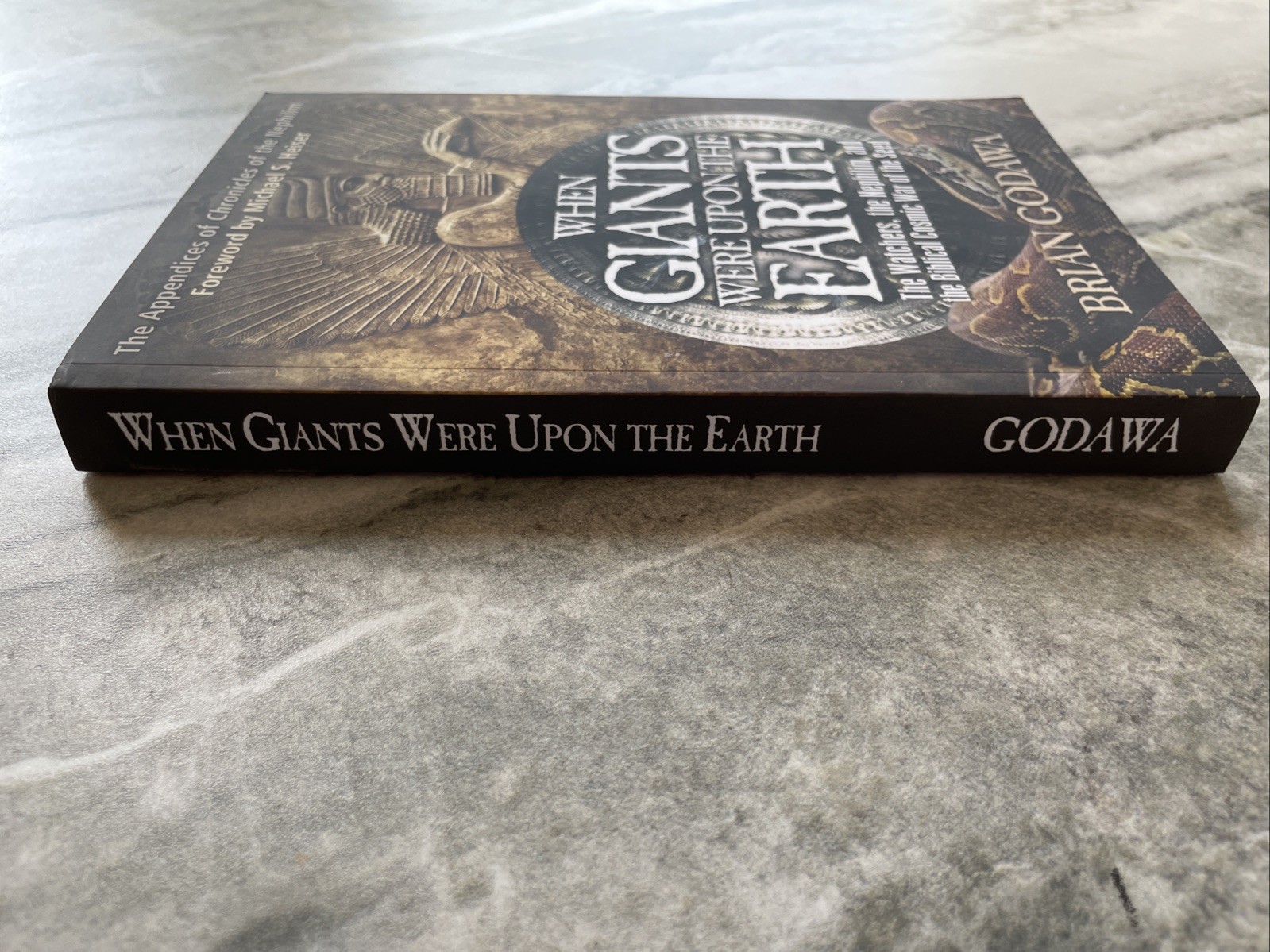 When Giants Were Upon the Earth The Watchers Nephilim Brian Godawa SC