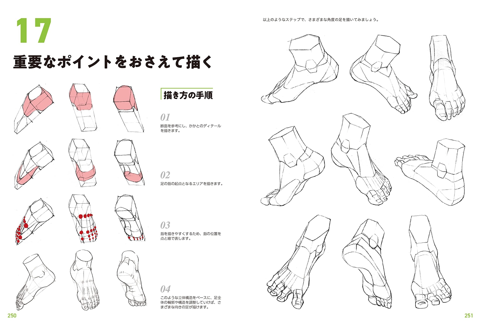 Human Anatomy Drawing Master Guide: Character Design Basics, Large Book