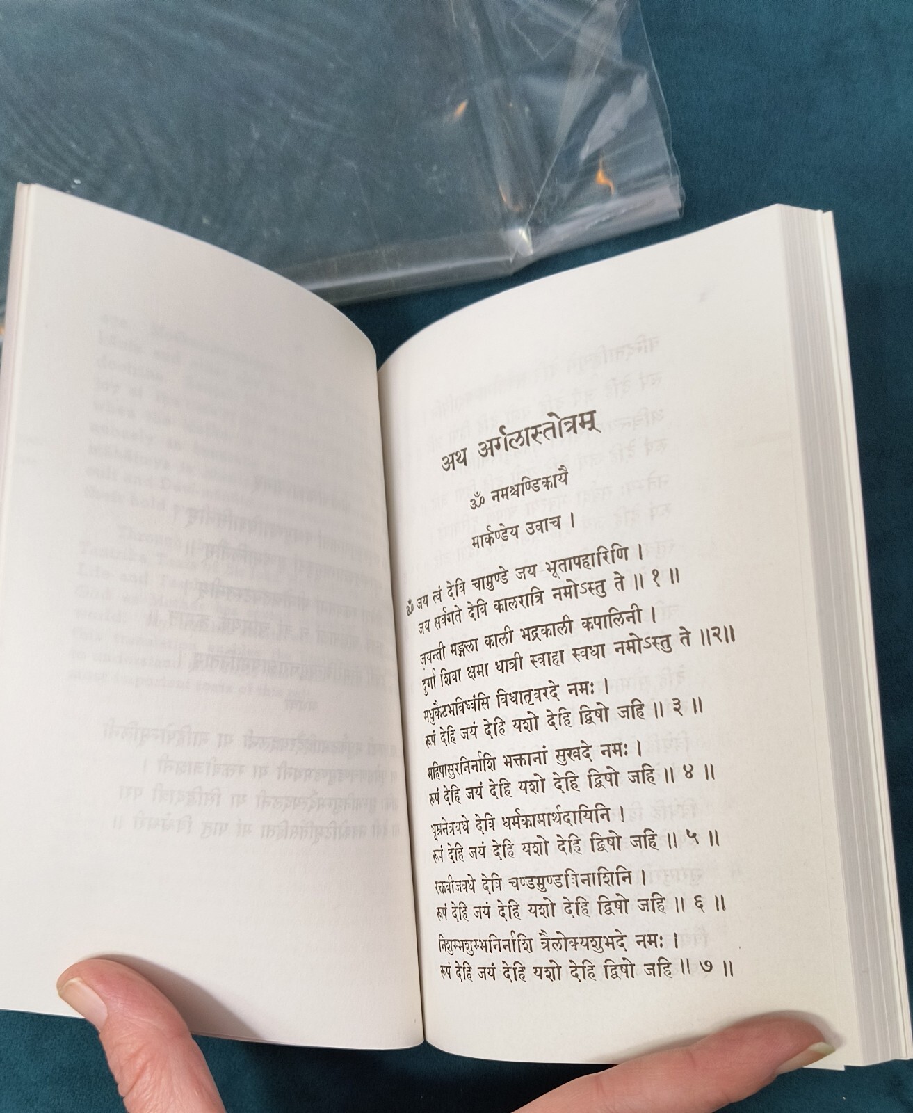 Devi Mahatmyam Sri Ramakrishna Math PB Stored WELL