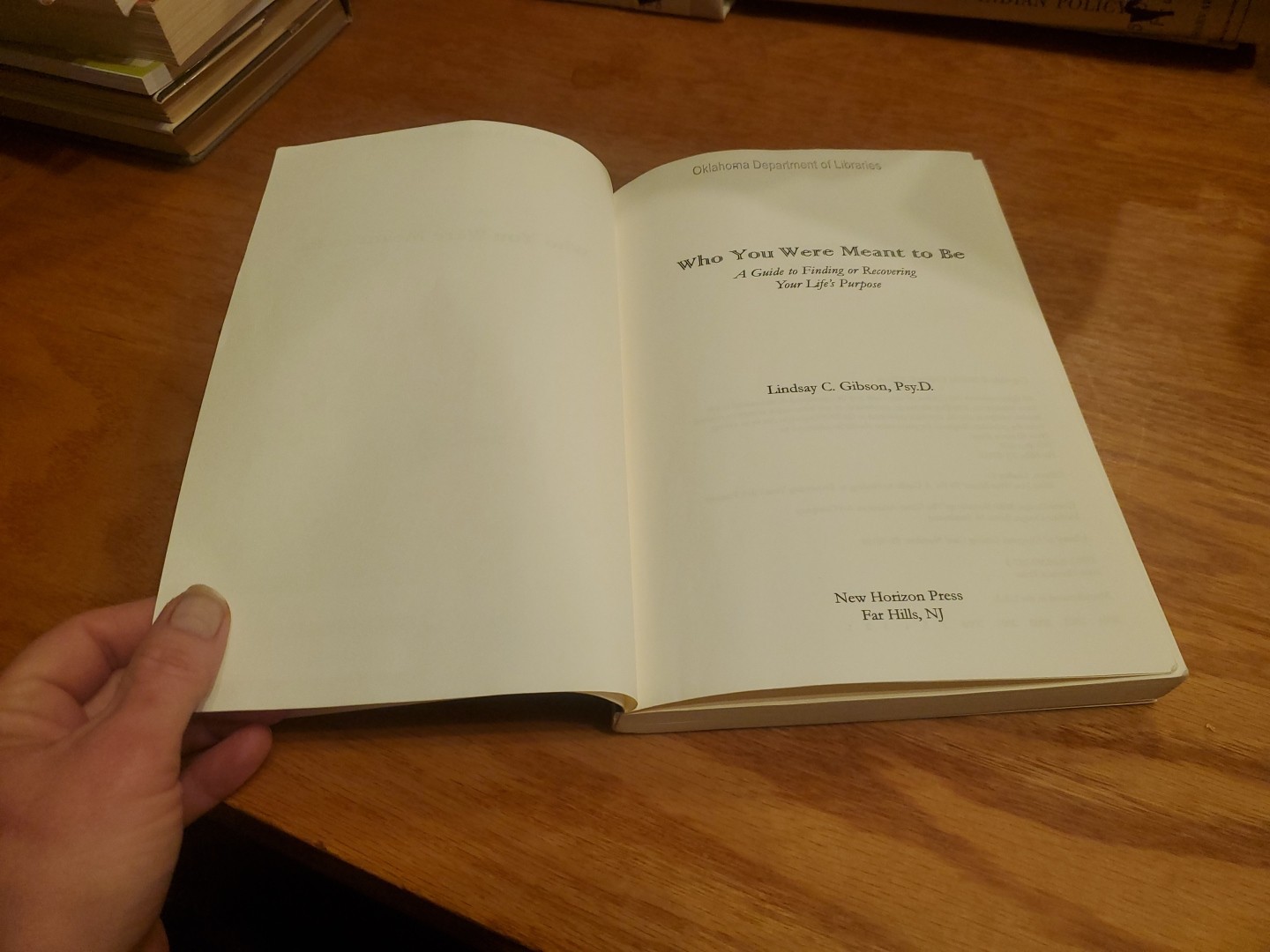 Who You Were Meant to Be: A Guide to Finding… by Linday Gibson 2000 PB