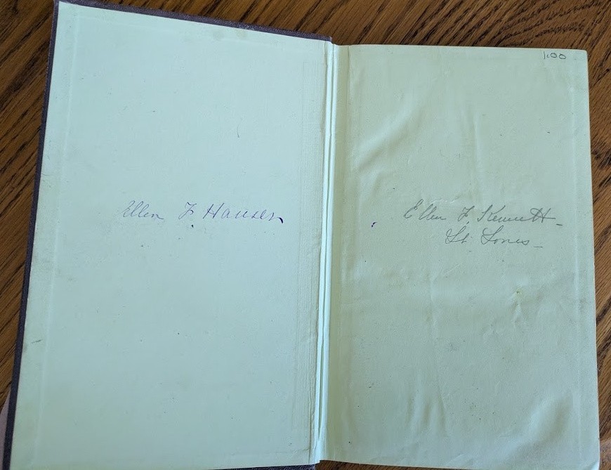 DORA 1868 novel by Julia Kavanagh Irish original HC from D. Appleton *RARE*