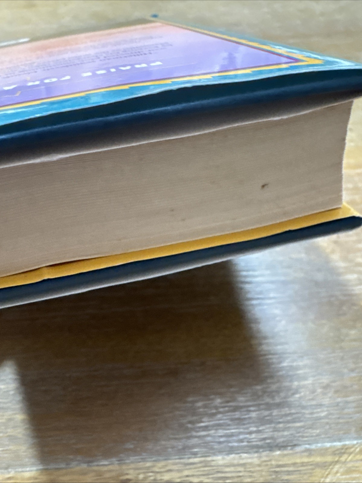 Song of the Lion : A Leaphorn, Chee Novel by Anne Hillerman (2017 1st Edition