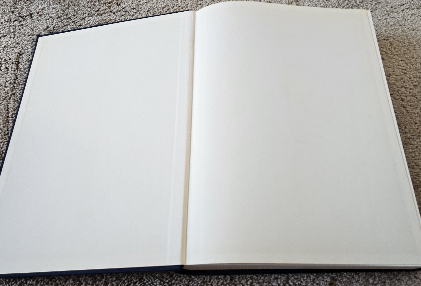 Matisse by Pierre. Schneider (1984, Hardcover) large 752 Pages, No Dust Jacket