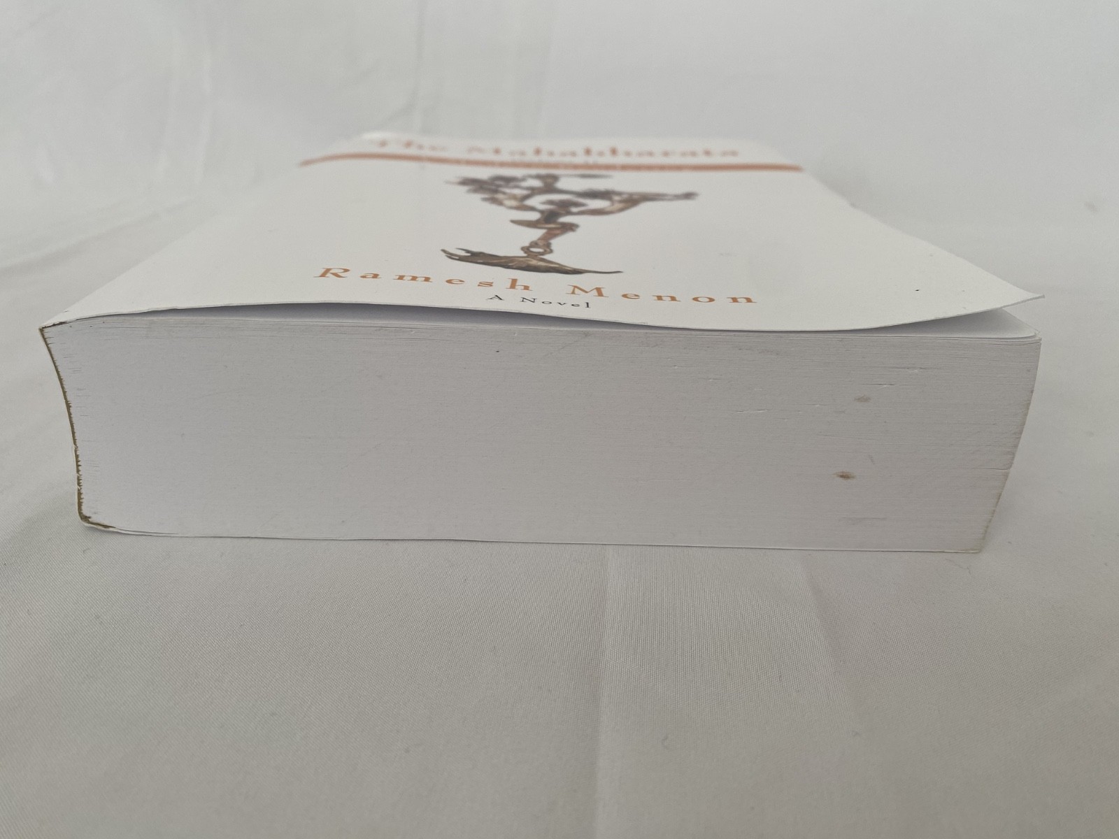 The Mahabharata: A Modern Rendering, Vol 1 9780595401871 by Menon, Ramesh