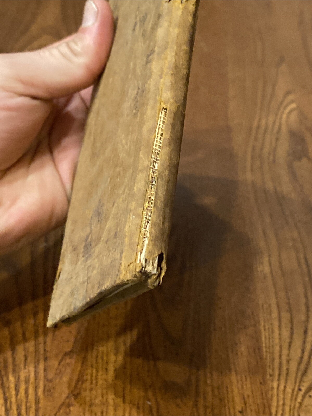 Antique RIP-VAN WINKLE BY WASHINGTON IRVIN HARD COVER BORSE & HOPKINS 47 Pages