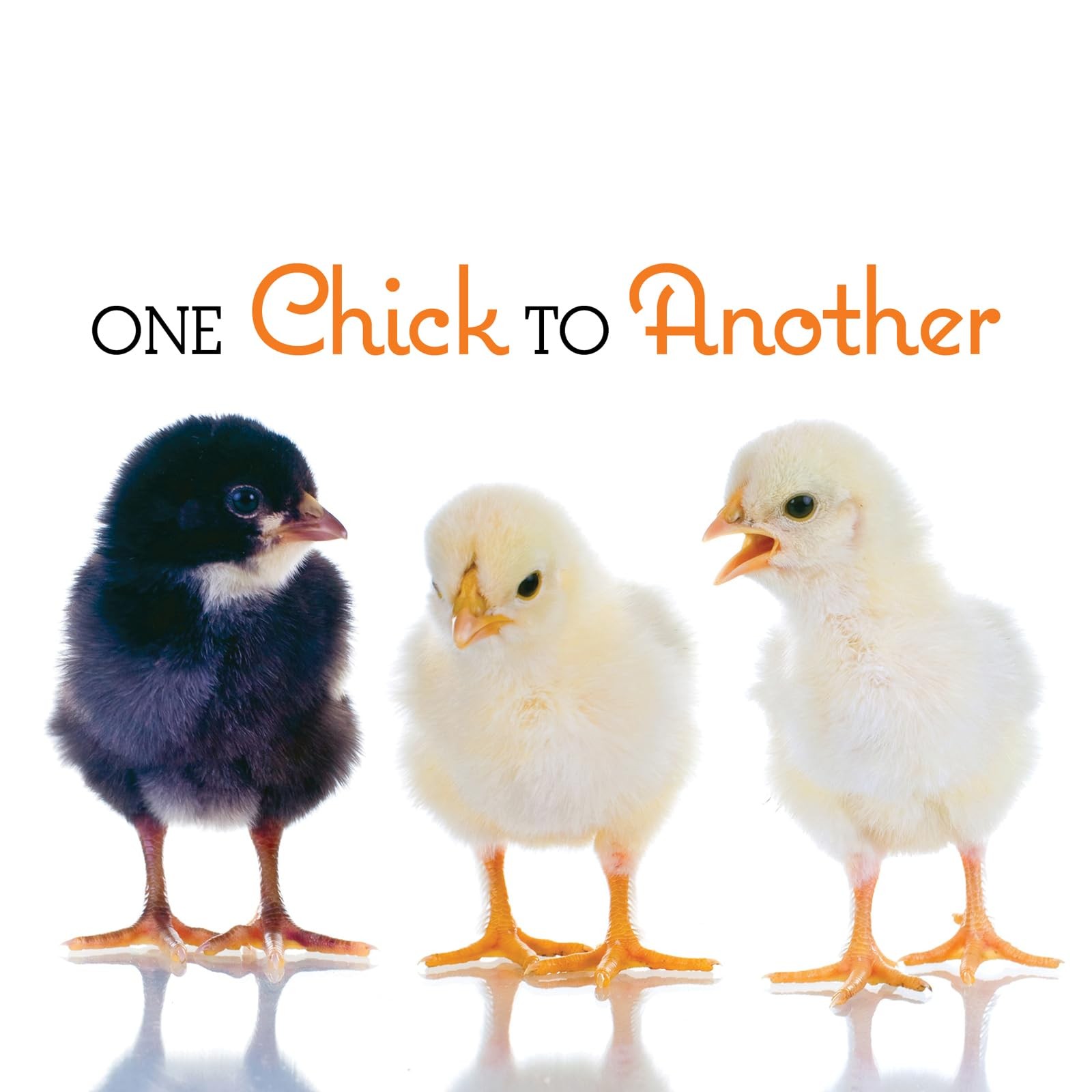One Chick to Another, Gibbs Smith Publisher, Very Good Book