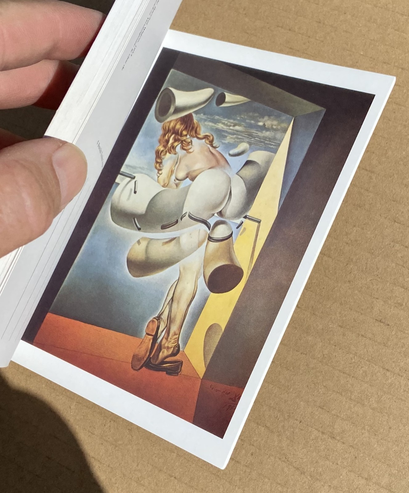 SALVADOR DALI 30 Postcards Postcard Booklet Book
