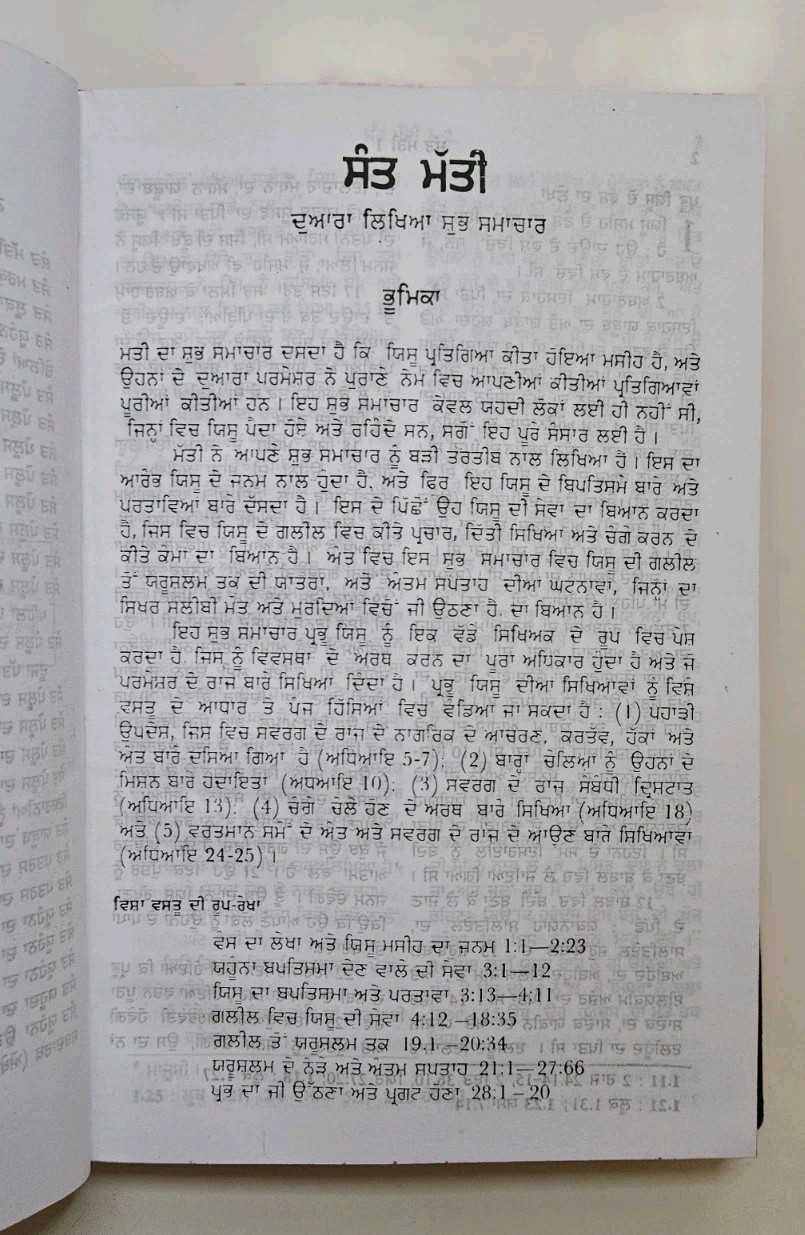 Punjabi New Testament Bible Vinyl Cover Bible Society Of India *NEW* 2009