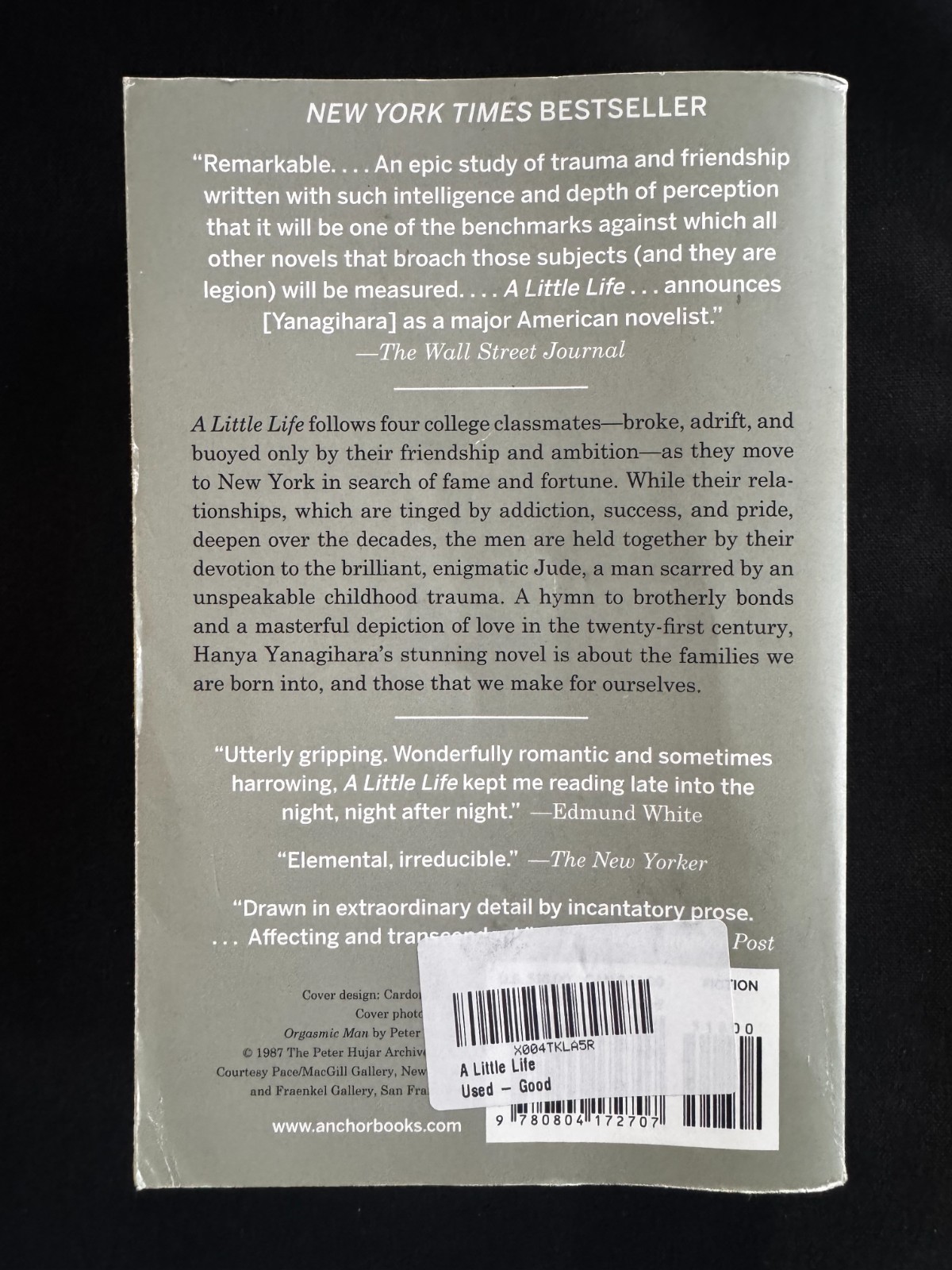 A Little Life by Hanya Yanagihara (2016, Paperback) – Benefits Feeding America